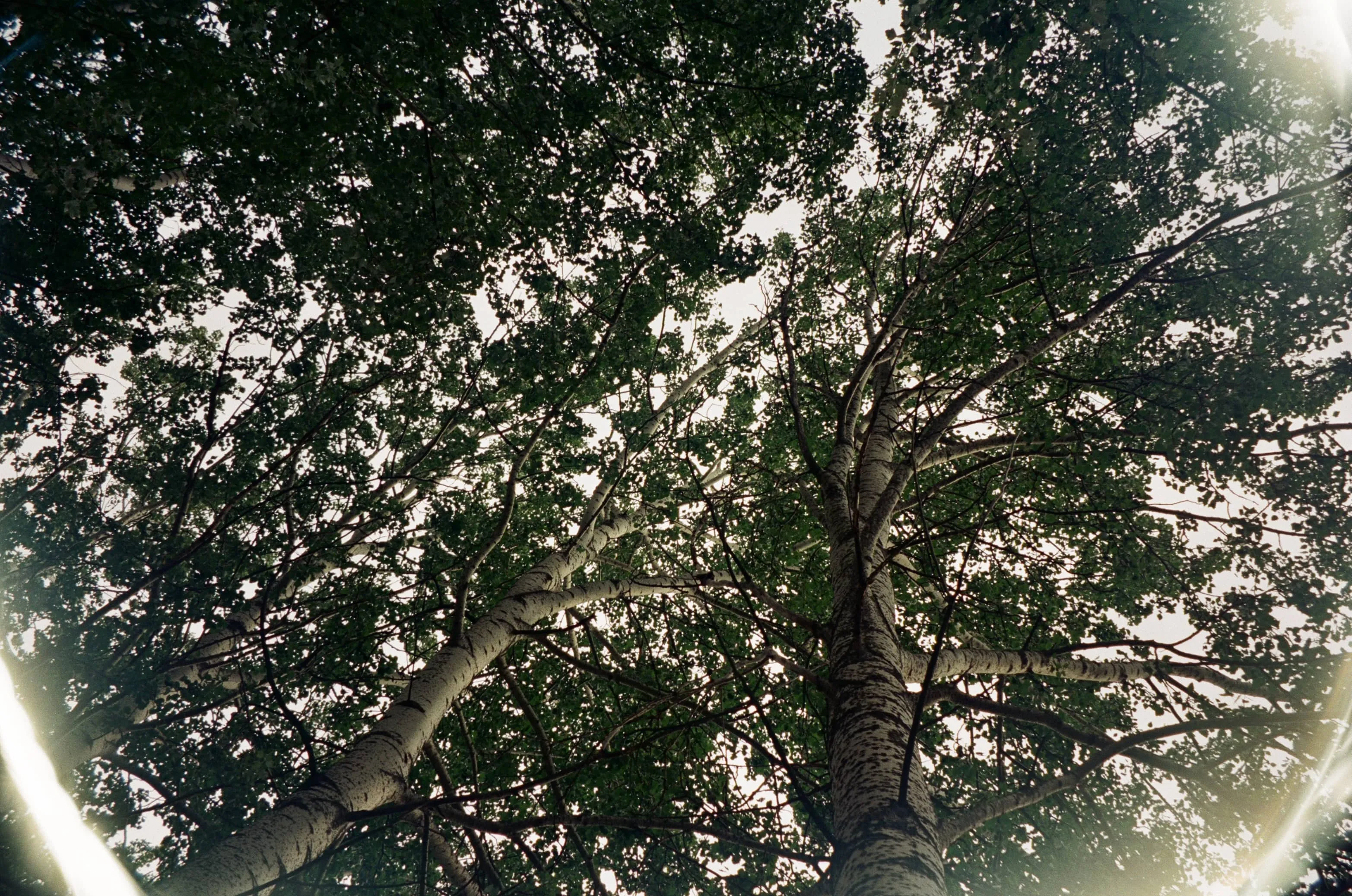 /src/content/photos/assets/123184-001231840034-min.jpg
